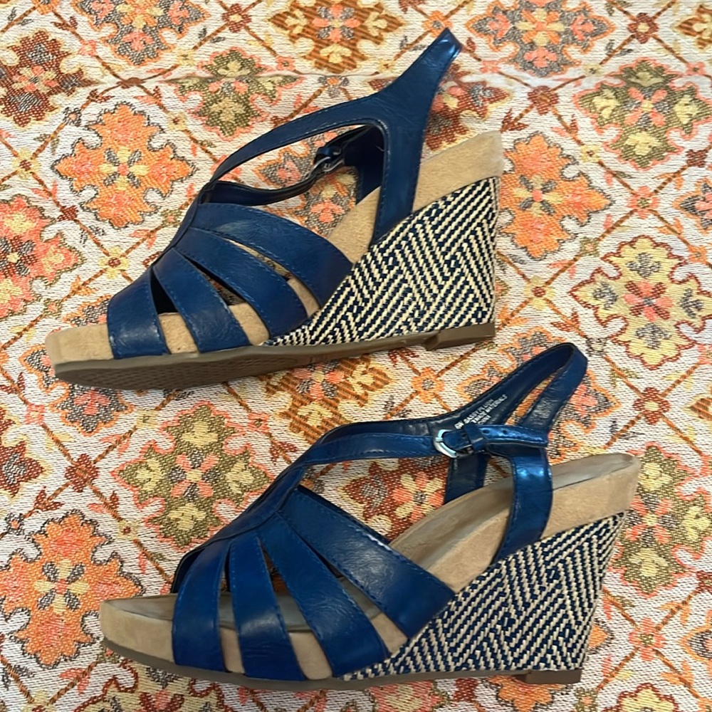 Aerisoles Sassy Plush platform wedge